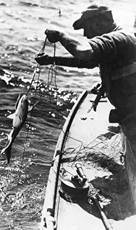Vintage Fishing Photos Drucke: Swordfishing