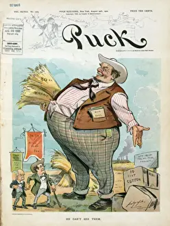 William Jennings Bryan Cartoon Drucke: He can t see them