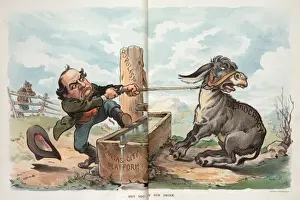 Puck Magazine Cartoons Online Drucke: But you can t make him drink