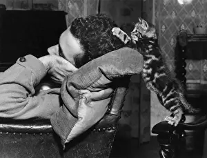 Katze mit Tabattennen erkundet das Haar eines schlafenden Mannes