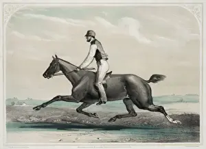 American Horse Racing Drucke: Tacony
