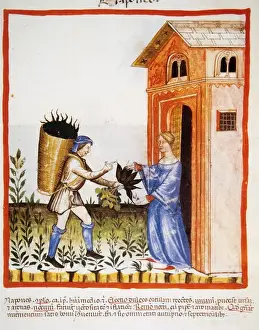 Tacuinum Sanitatis, 14 Jahrhundert, Mittelalterliches Handbuch der Heilkunst