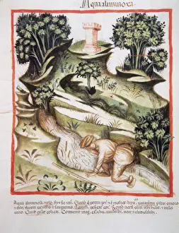 Das Tacuinum Sanitatis, Ein Mann trinkt Wasser aus einem Fluss