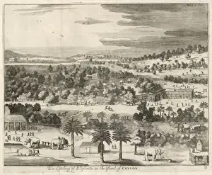 Mary Evans Prints Online Collection Drucke: Taking Elephants 1671