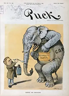 Puck Magazine Cartoons Online Drucke: Taking his medicine