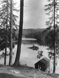 See Drucke: Tarn Hows, Seenland Kumberland