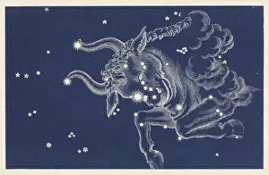 Sternkarten Drucke: Taurus