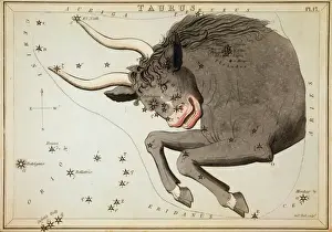 Sternkarten Drucke: Taurus