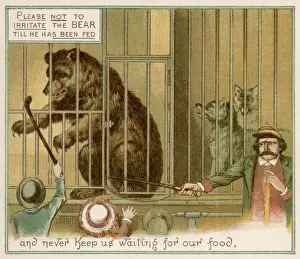 Animal Behavior Study Drucke: Teasing the Bear