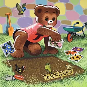 Bär Teddy