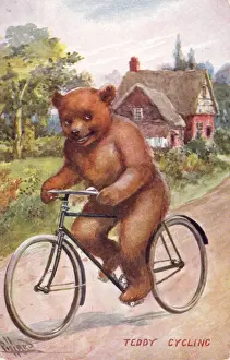 Rennräder Drucke: Bären Teddy auf dem Fahrrad.