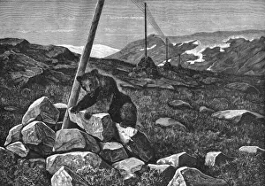 Sweden Landscape Drucke: Telegraph Wires