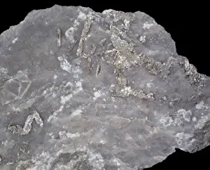 Tellurium