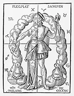 Vier Blüten 16C