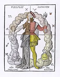 Die vier Charakterarten