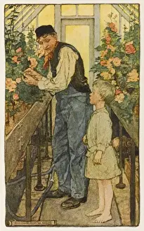 Pflanzen pflegen