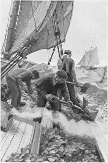 Die Pflege von Muschelgründen