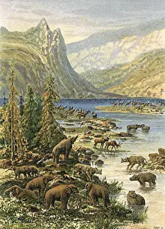 Historical European Landscapes Drucke: Tertiary L scape