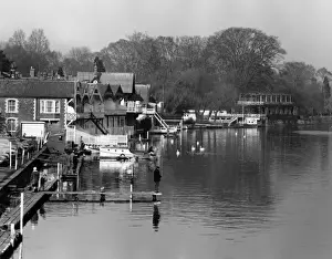 Rowing On The Thames River Drucke: Thames Boathouses