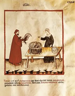 Tacuinum Sanitatis Drucke: Theatrum sanitatis (Codex 4182). Tacuinum Sanitatis