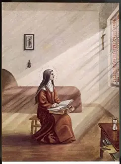 Therese Maria von Steinbrenner