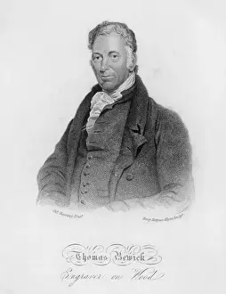 Drucke von Thomas Bewick Englischer Illustrator und Holzschnitzer Thomas Bewick Drucke: Thomas Bewick, Radierer