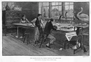Thomas Bewick am Werk