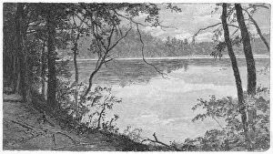 American Writer Drucke: Thoreaus Pond
