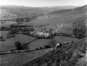 Thorpe-Cloud