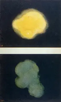 Historical Paranormal Images Drucke: Thoughtforms - 18, 18A