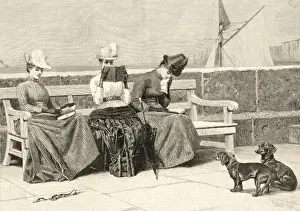19th Century History Drucke: The Three-Decker Novel
