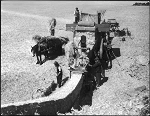 Kleinfindigkeiten der Ernte 1930er Jahre