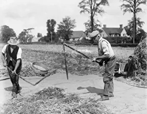 Britain Farming History Drucke: Threshing with Flails