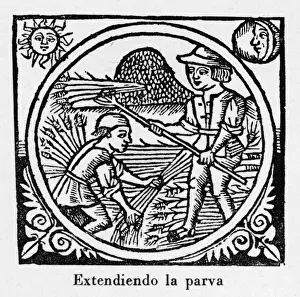 Agricultural Laborer Drucke: Threshing, Spain 1511 -2