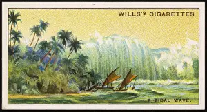Natural Disaster Images Drucke: TIDAL WAVE, 1908