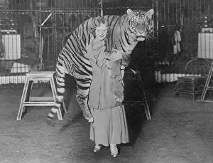 Circus Entertainment History Drucke: Tiger Trainer 1930S