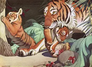 Raymond Sheppard Prints Drucke: Tigers