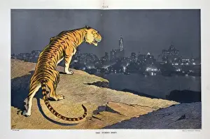 New York City Skyline At Night Drucke: The tigers prey