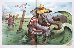 Republican Elephant Cartoon Drucke: A timely warning