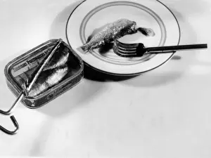 Zinnkästchen mit Sardinensalat