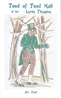 Der Frosch von Toad Hall von A.A.Milne