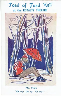 Der Frosch von Toadeck von AA Milne