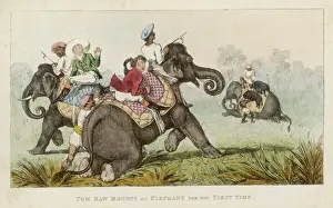 Colonial Era Images Drucke: Tom Raw : on Elephant