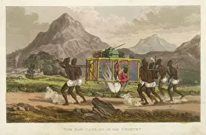 19th Century Prints Drucke: Tom Raw : in Litter