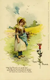 Tompenseel