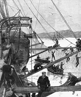 French Warships History Drucke: Torpedo Nets