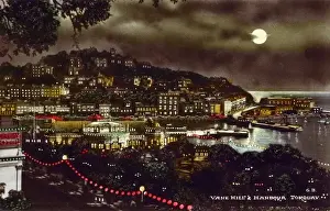 Coastal Resort Towns Drucke: Torquay, Devon - Illuminations (3 / 3)