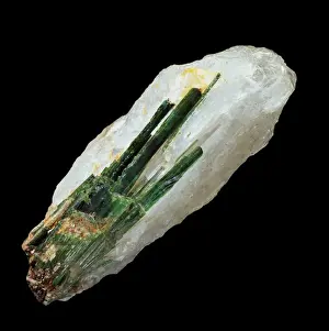 South American Minerals Drucke: Tourmaline