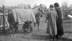 Rennen von Towcester Paddock