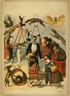 Antique Circus Posters For Sale Drucke: Trained dog act